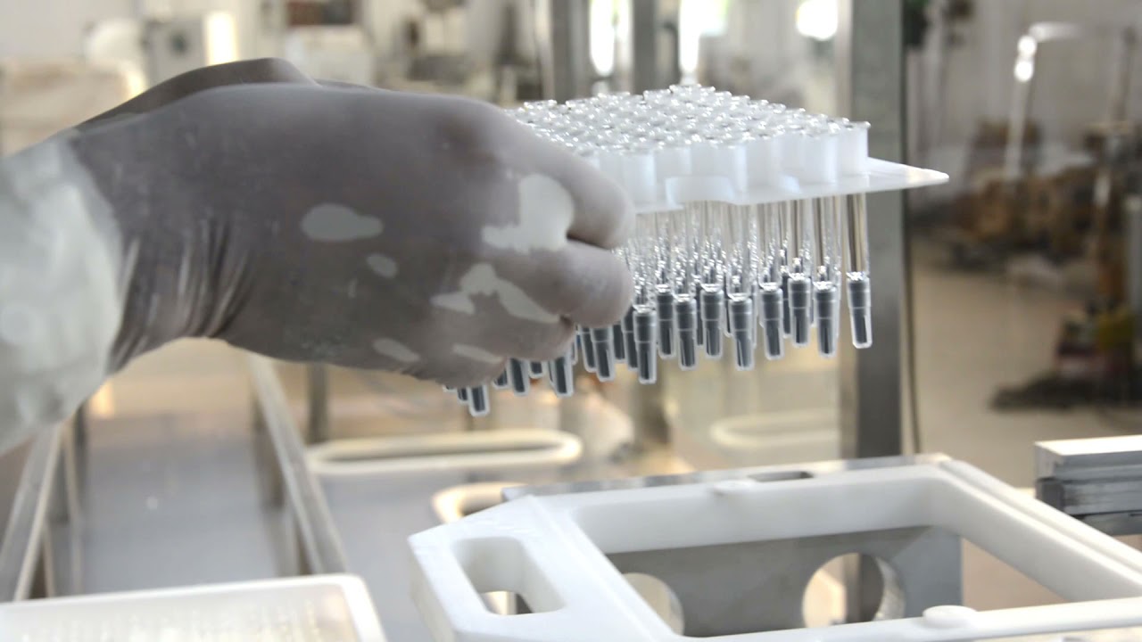L & P PHARMA PFS FINAL PROJECT MP4 new