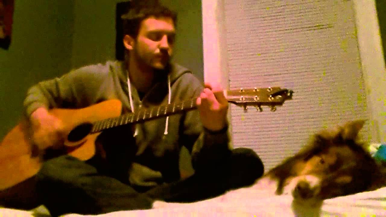 Blue shadows on the trail cover