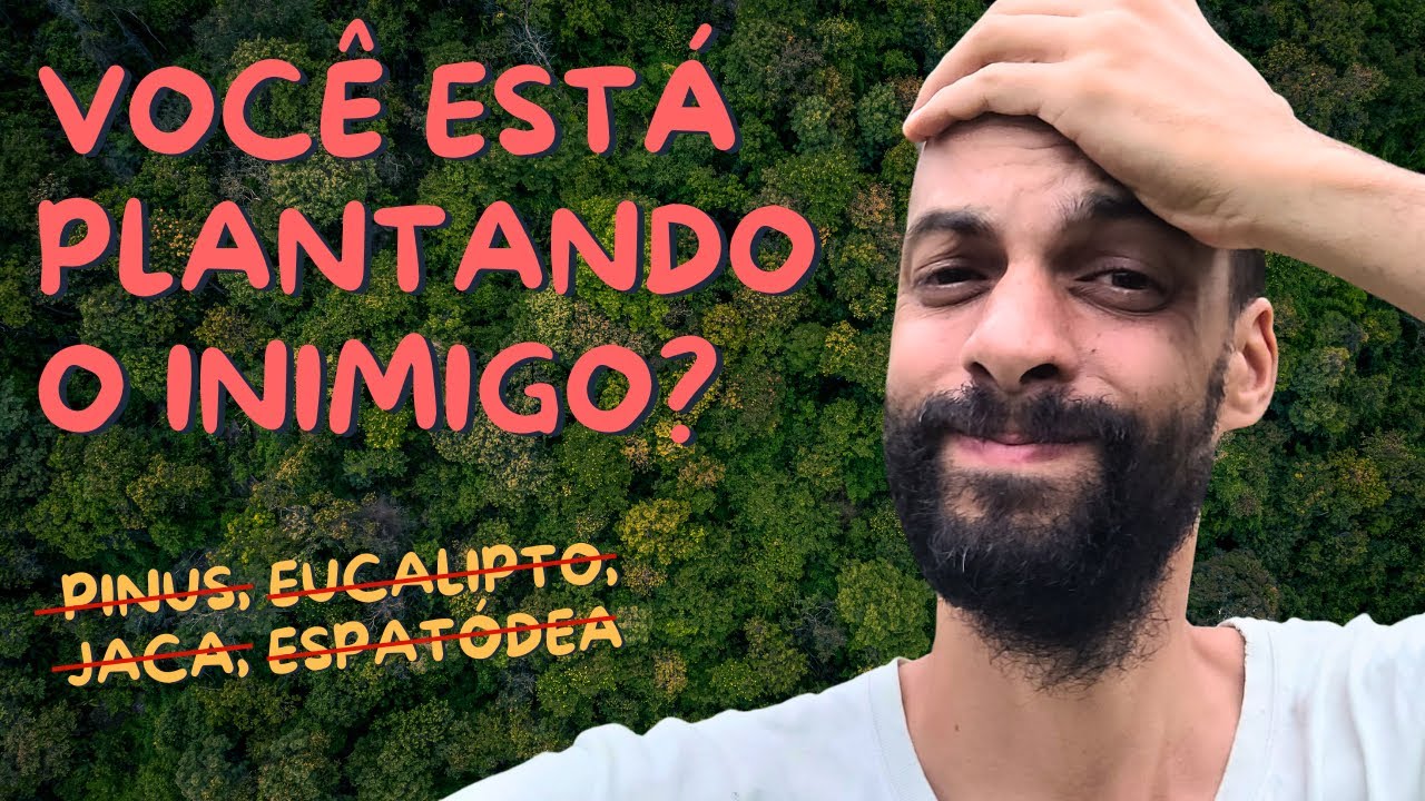 As Piores Árvores que Você Pode Plantar na sua Casa