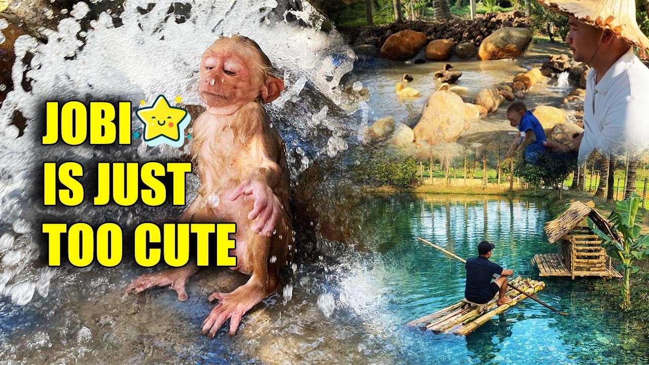 Most Viewed Video Of 2025 | JOBI & Dad HUNG'S Epic Moments ❤️