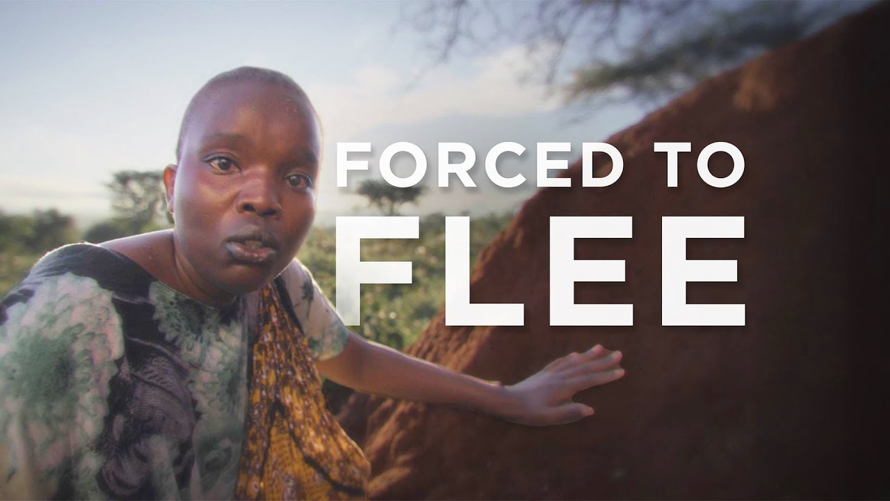 Forced to Flee: A Refugee Journey