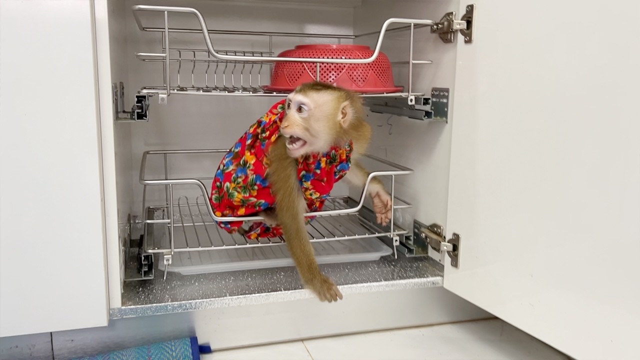 Funny Sara Playing Seek Hide In Kitchen While Mom Cooking