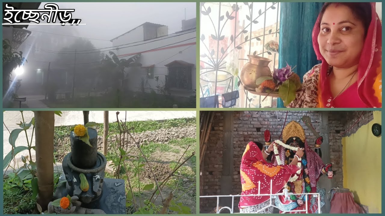 আজ শিবরাত্রি পালন করলাম #newpost  #bengolividio 