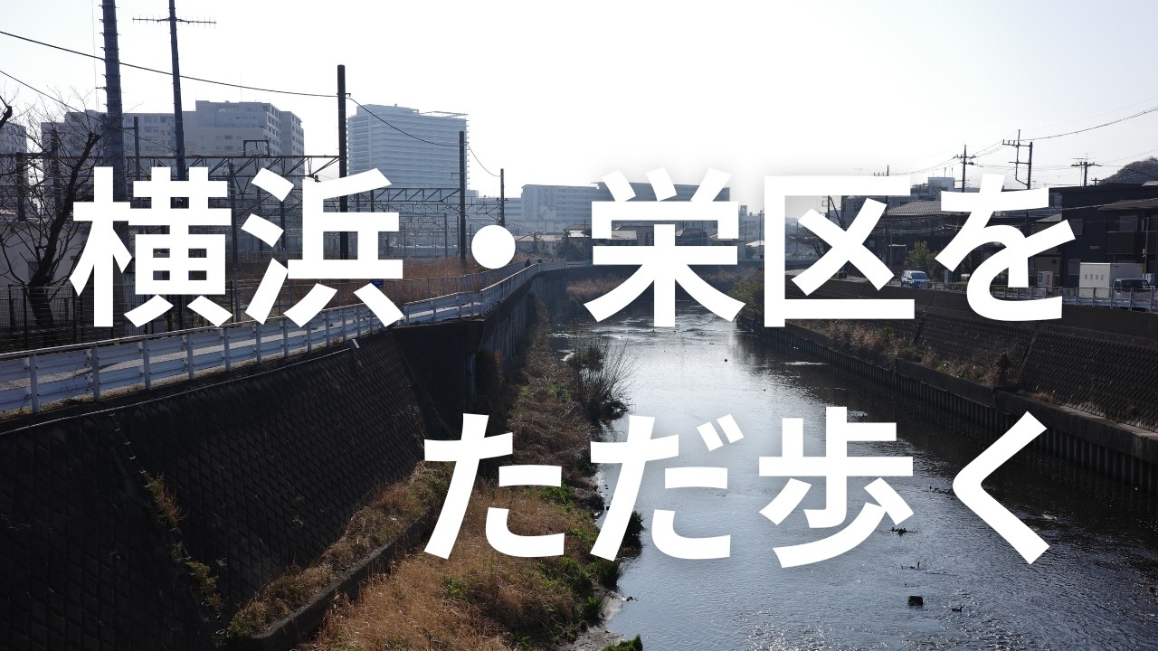 【横浜・栄区をただ歩く】古の洞窟と小川のせせらぎ、森に包まれる道｜Walking Taya Caves & Gentle Streams【No Music・Binaural】Feb 2026