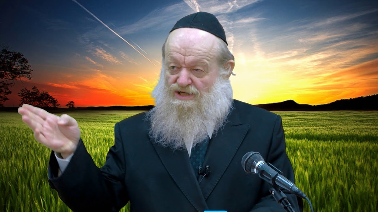 הרב יוסף בן פורת - פרשת 