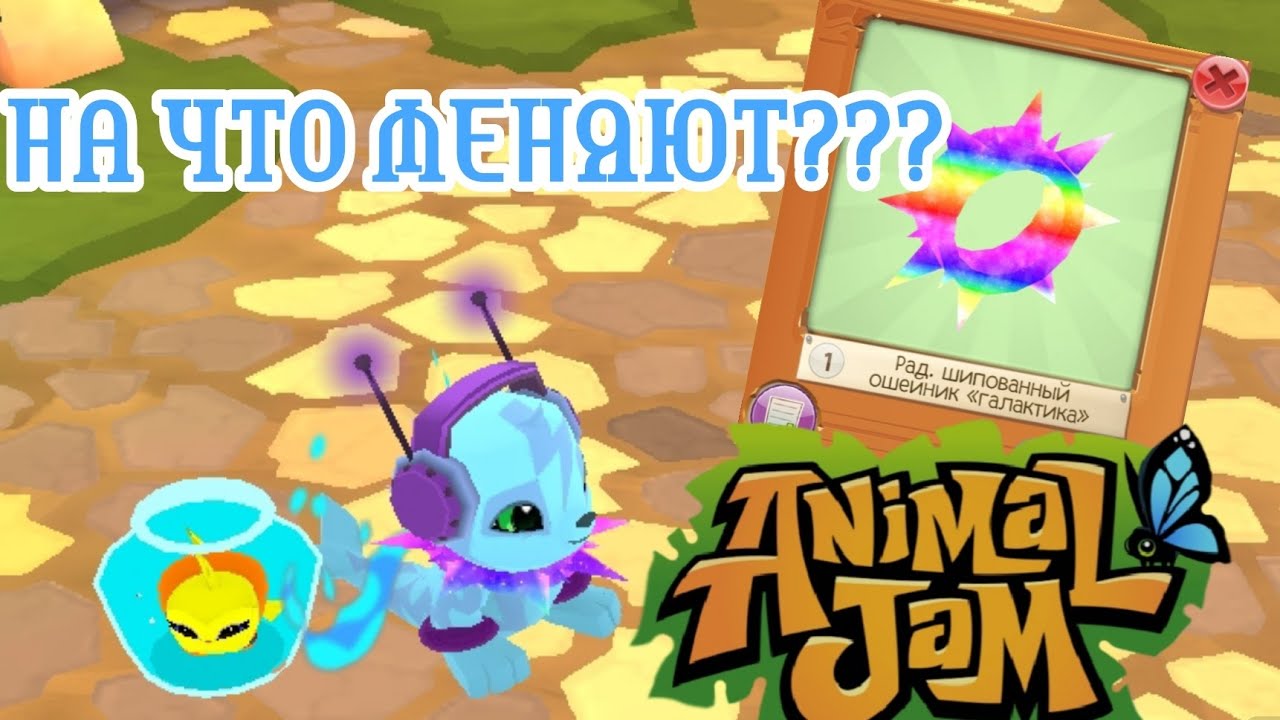 Что же меняют на 🌈Радужный шипованный ошейник 