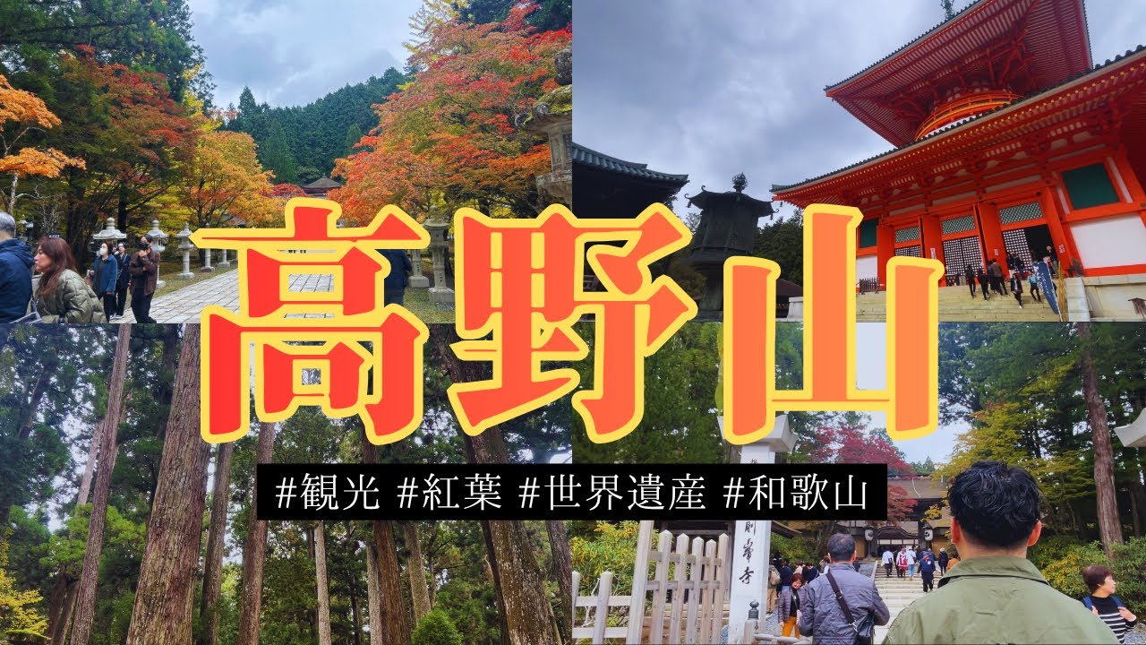【絶景】高野山の紅葉が見頃！世界遺産×絶景×癒しの旅