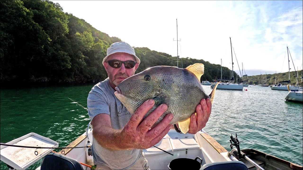 Trotting for triggerfish with a centrepin.