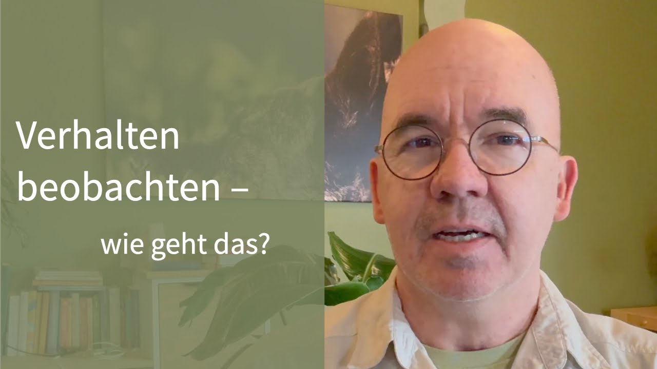 Verhalten beobachten – wie geht das?