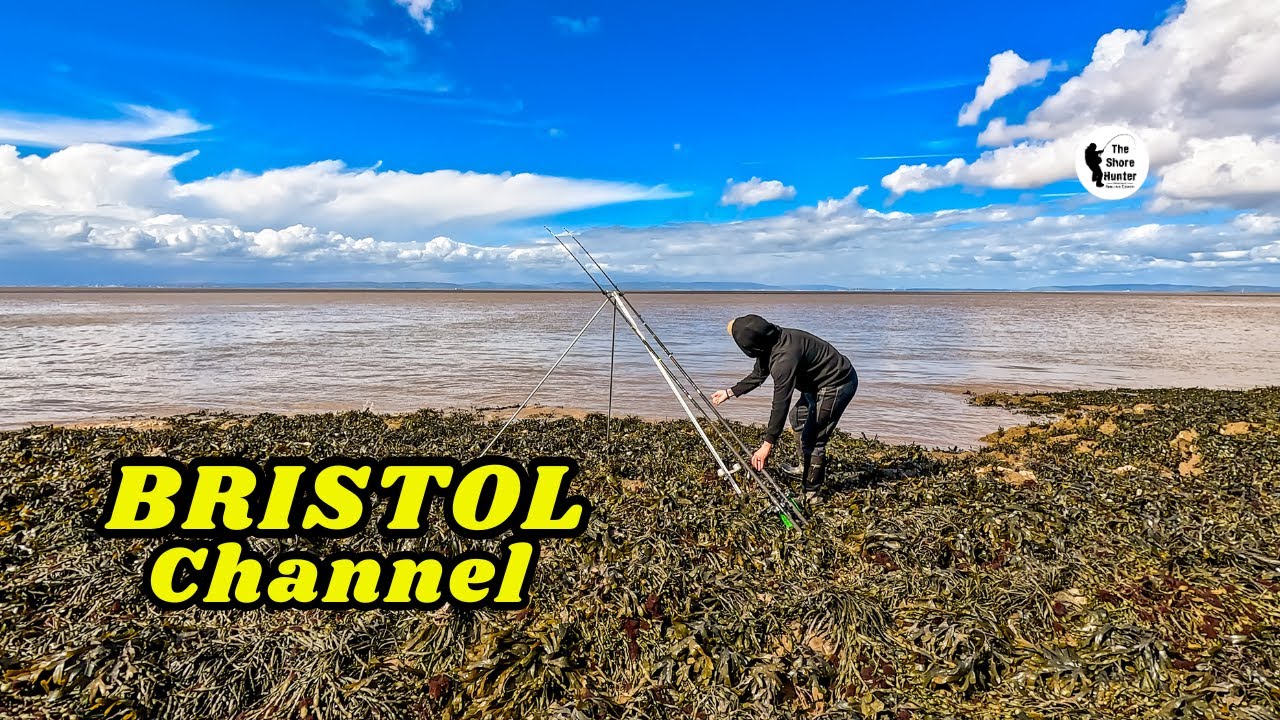 Catching Some Lovely Fish, Low Water.