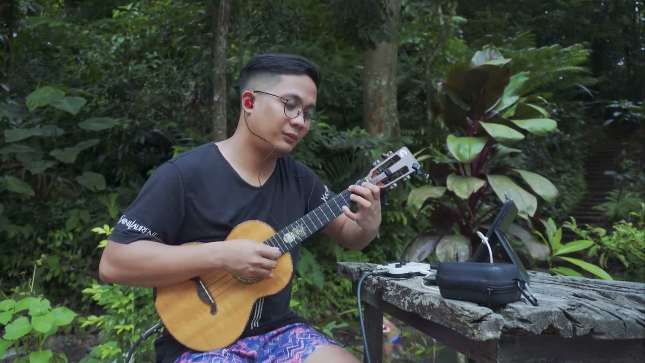 In My Life by the Beatles Ukulele Fingerstyle Cover