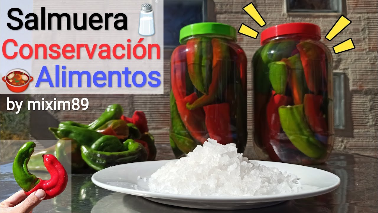 Salmuera Conservación Alimentos (Mejor Método de Conservar desde la Antigüedad) by mixim89