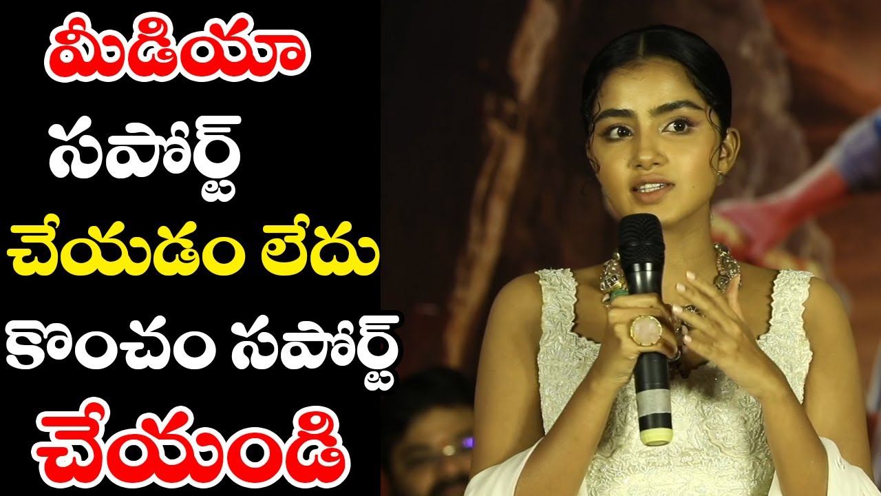 ANUPAMMA Emotional Words About Media |kKarthikeya 2 ||Telugu Cinema Buzz