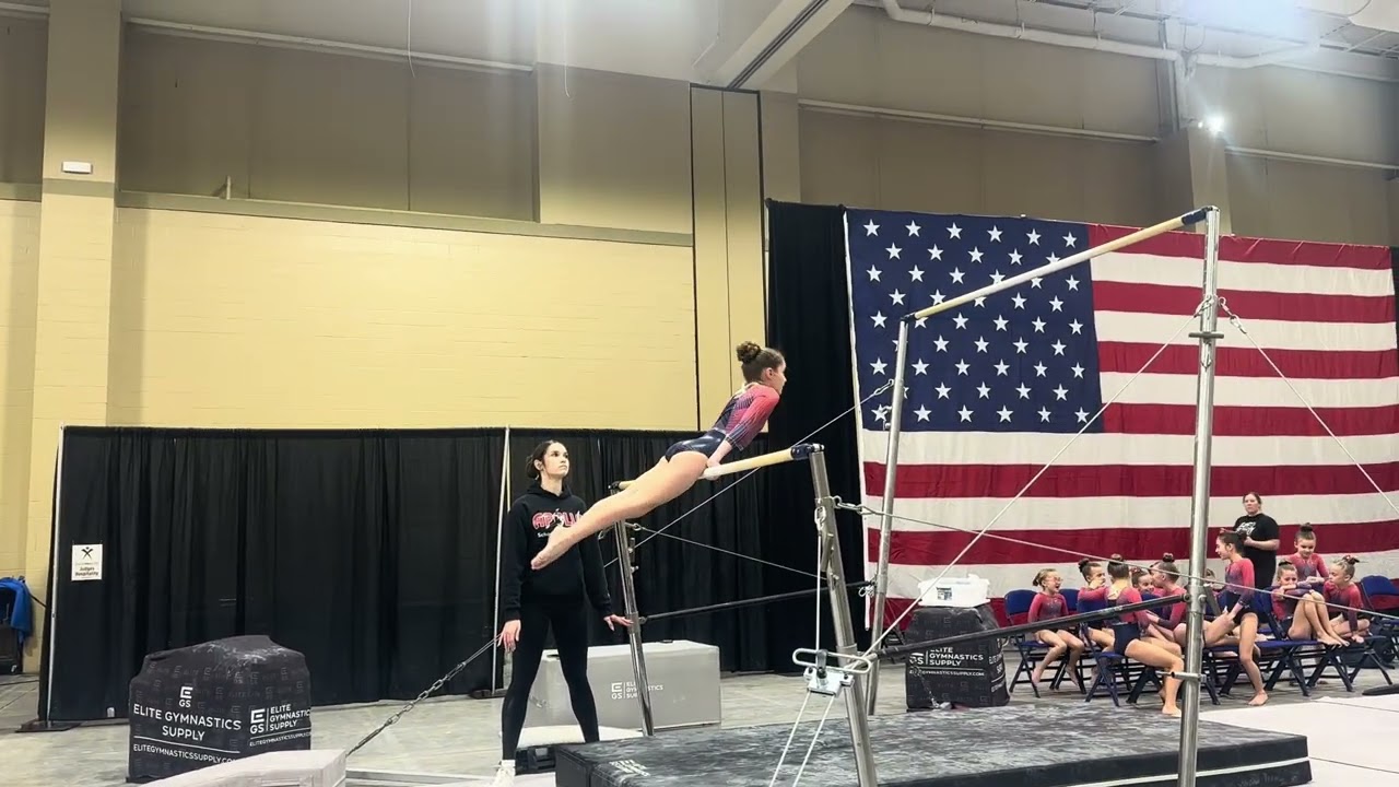 Layla Silver Bars 9.725 Palmetto 2026