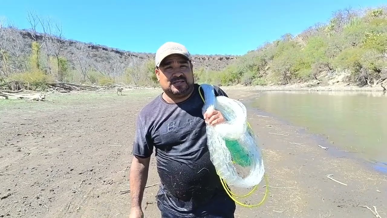 Salieron buenas tilapias en esta pesca y vean a mi compa hugu y lalo crusando el rio 