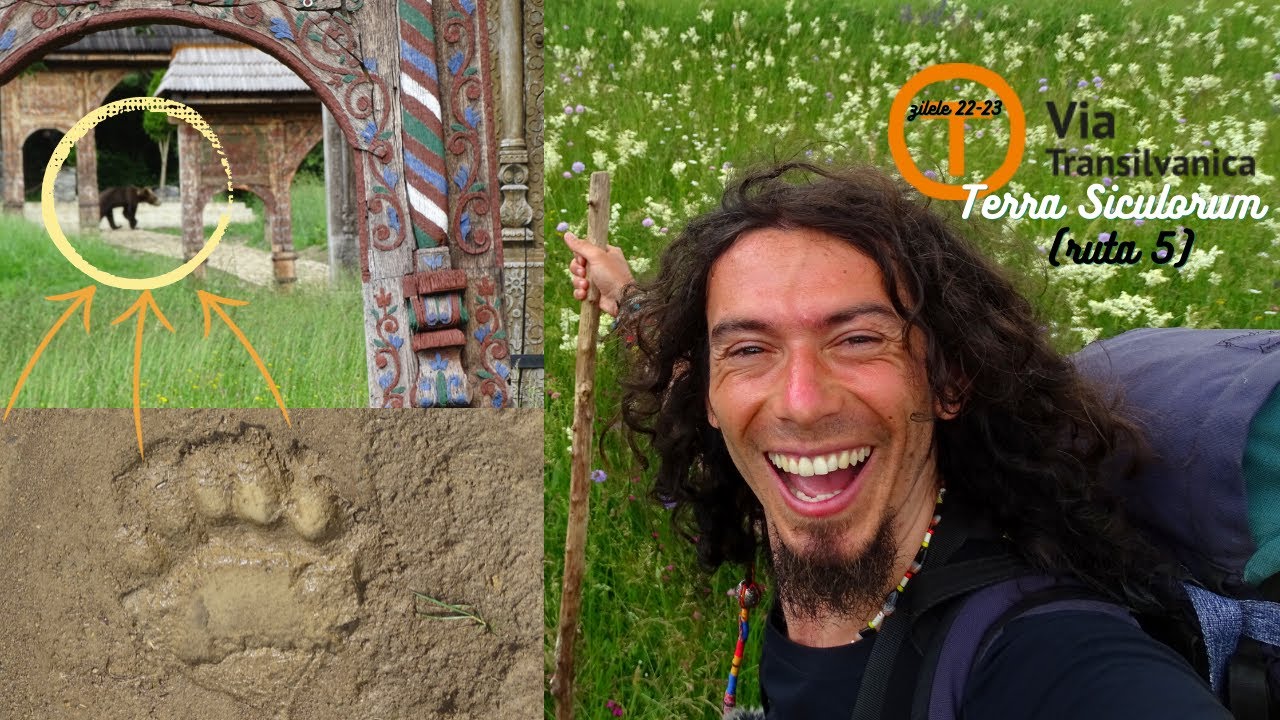 M-am întâlnit cu ursul pe Via Transilvanica [Ep.19: Lupeni - Odorhei]