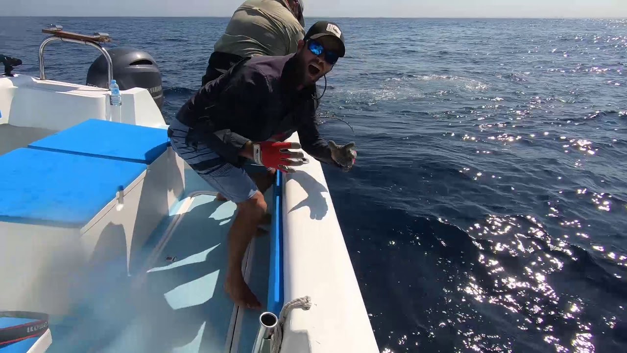 Big Blue Vilankulo Marlin Season 2019