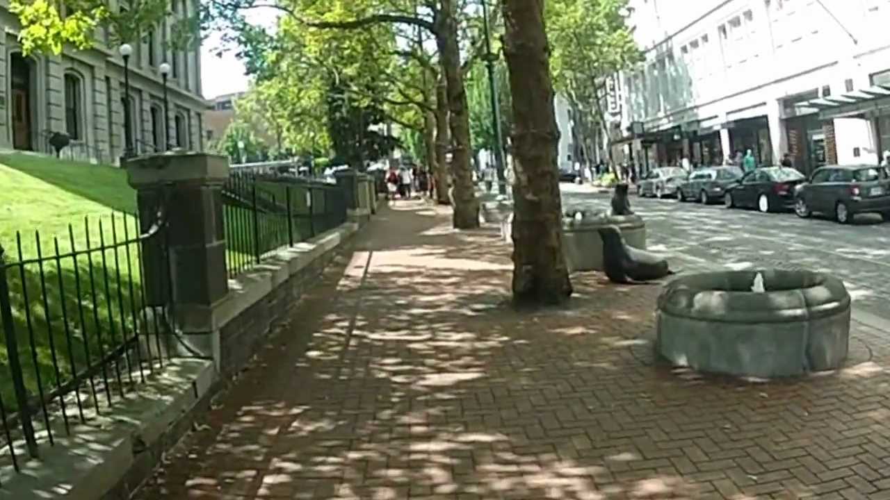 Sleepwalking through downtown Portland Oregon