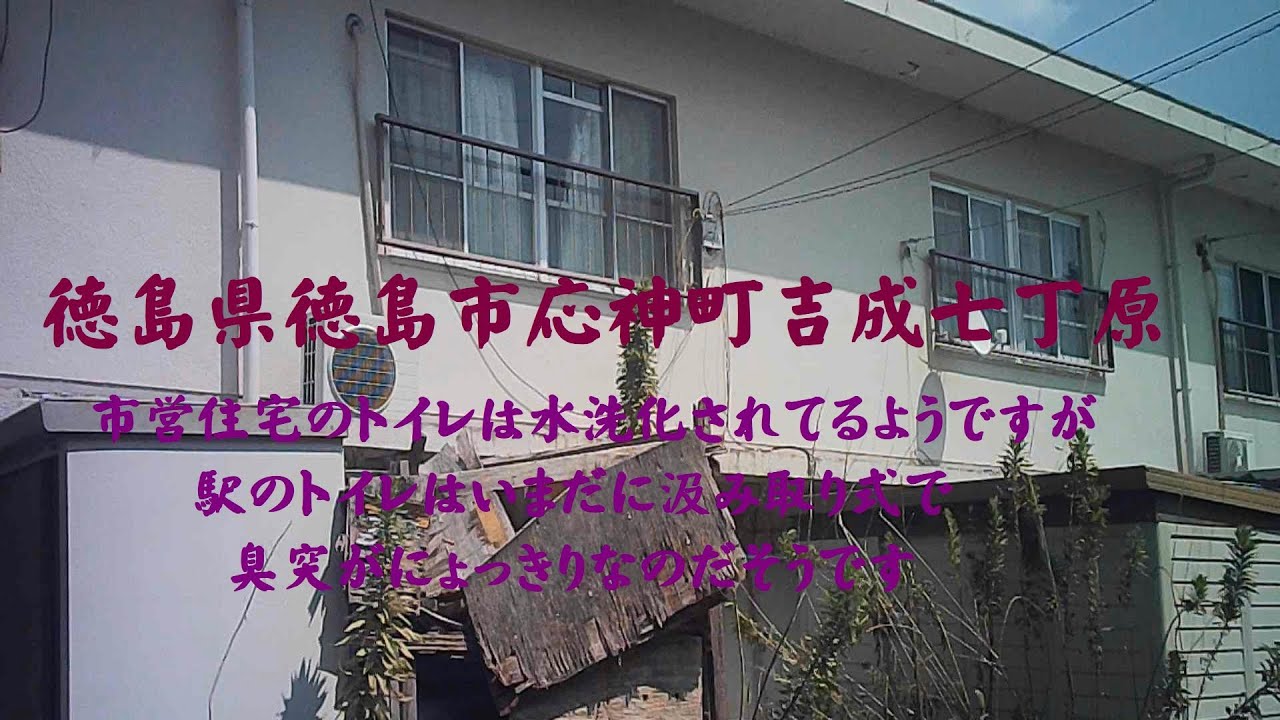 徳島県徳島市応神町吉成七丁原　市営住宅のトイレは水洗化されてるようですが、駅のトイレはいまだに汲み取り式の臭突にょっきりだそうです