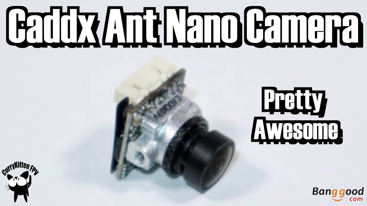 Caddx Ant Nano FPV Camera - it's good!  Supplied by Banggood