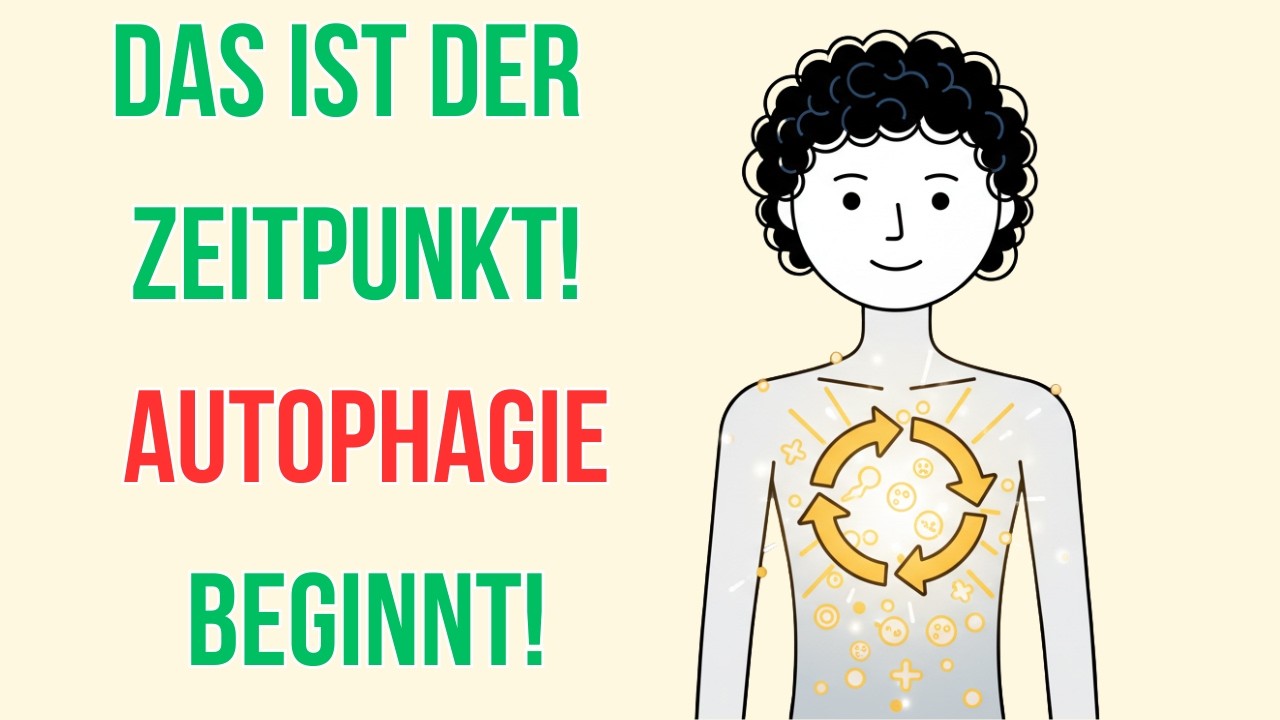 Nach wie vielen Stunden Fasten wird Autophagie tatsächlich ausgelöst?