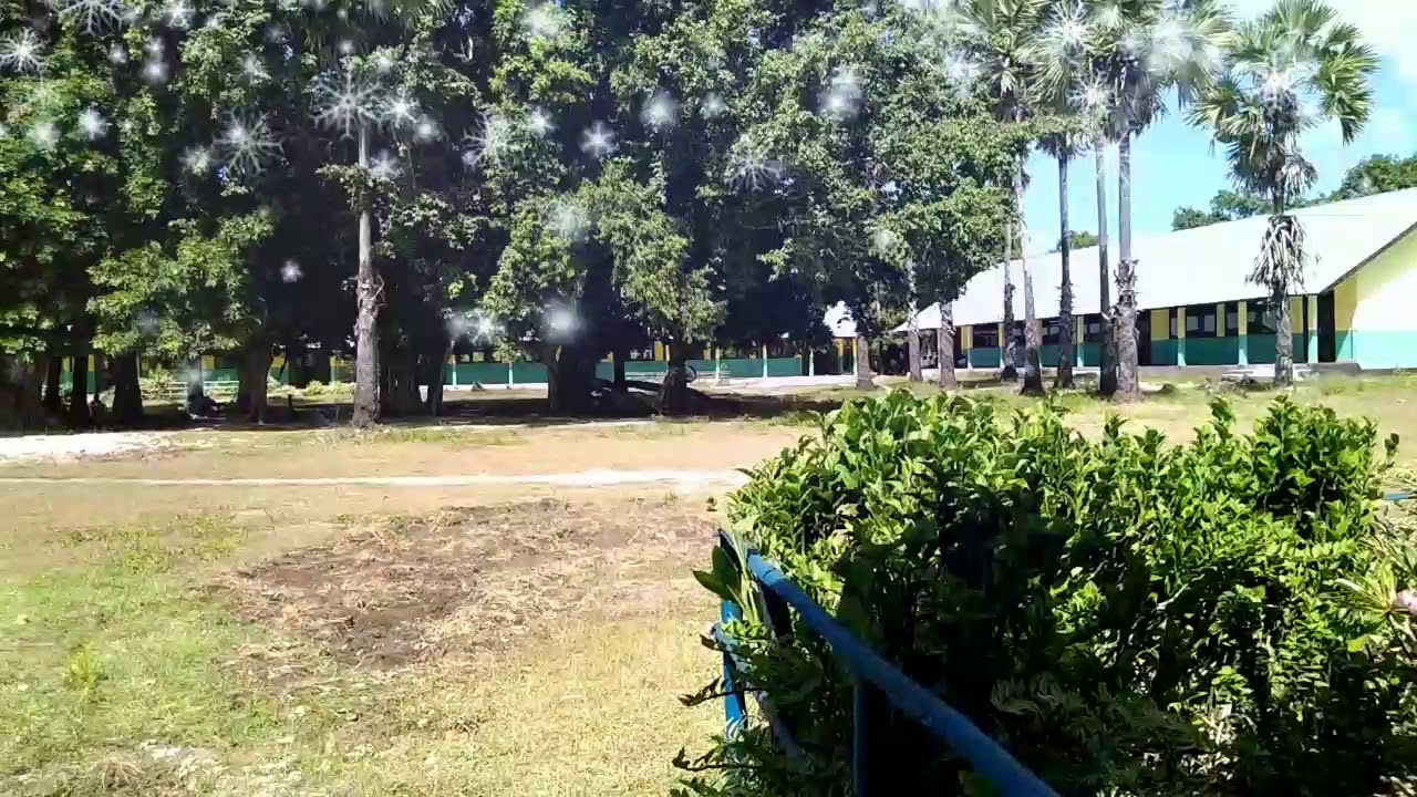 SMA N 1 Wulla Waijellu  Angkatan ke 5