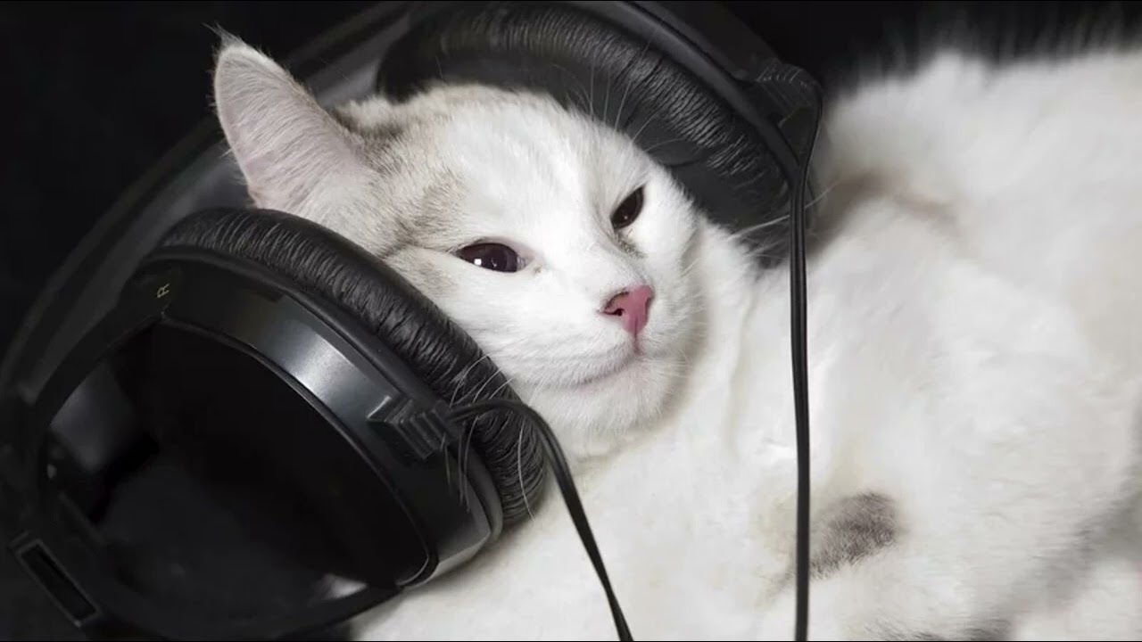 R2R MOE - HOLD MY WEIGHT | THE BOOTH