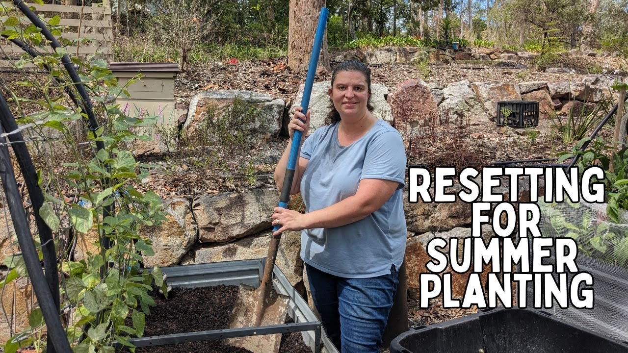 Resetting the vegetable garden beds for Summer planting