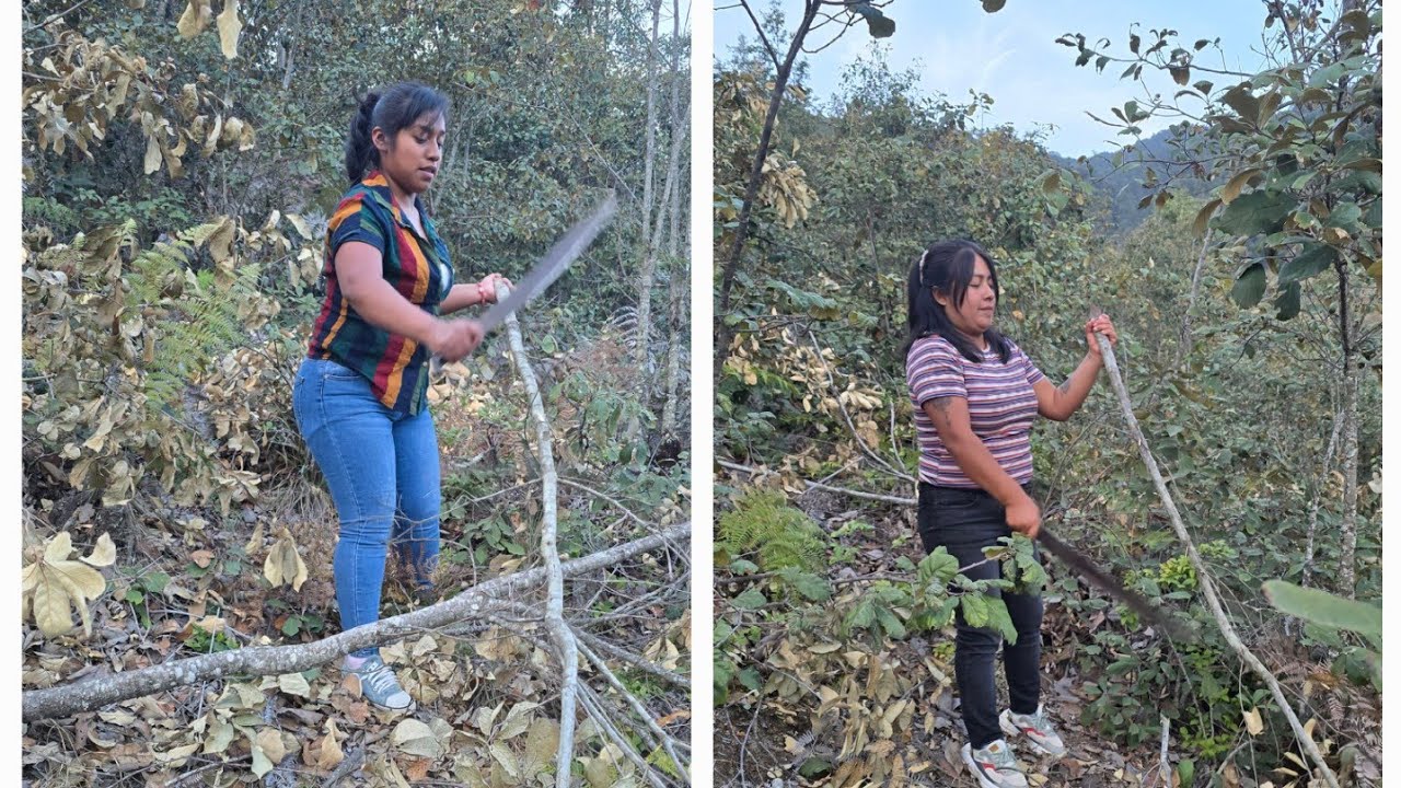 Salimos a recolectar varitas para la lumbre ,y al final edith se llevó su tronquito
