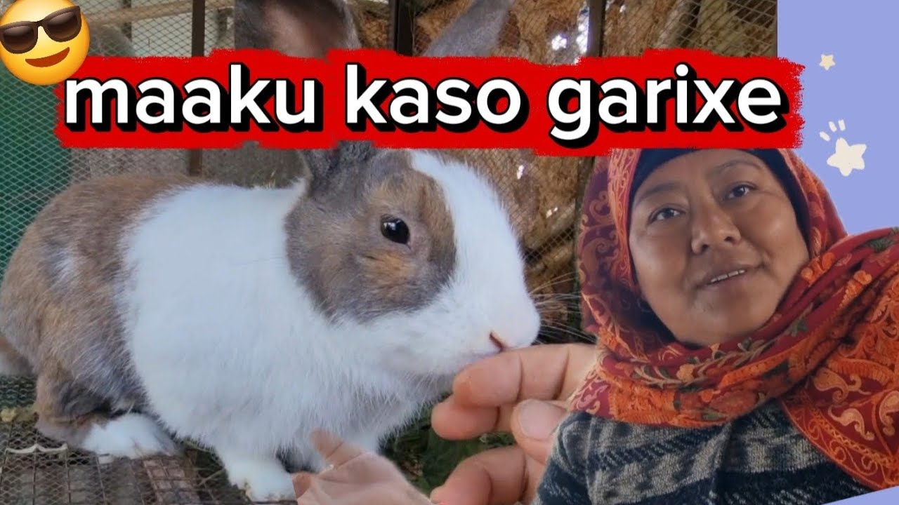 Mero maki xoro kaso garixe malai dekhera🤣 #vlog 