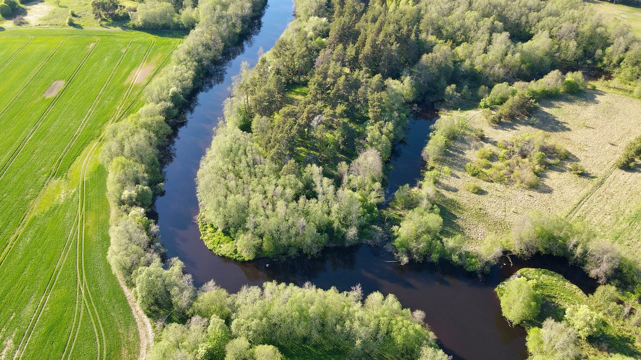 Beautiful Estonian summer nature - drone view (4K)
