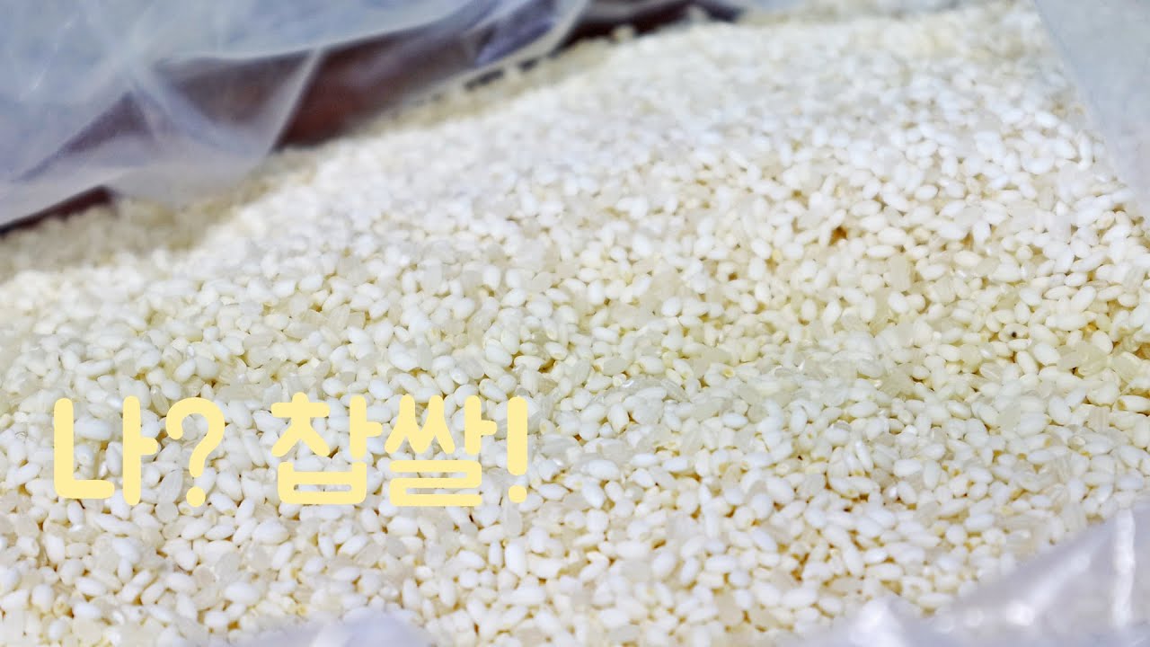 생애 첫 막걸리 만들기 EP.1 / 먹지만 말고, 이제 만들어 보자!