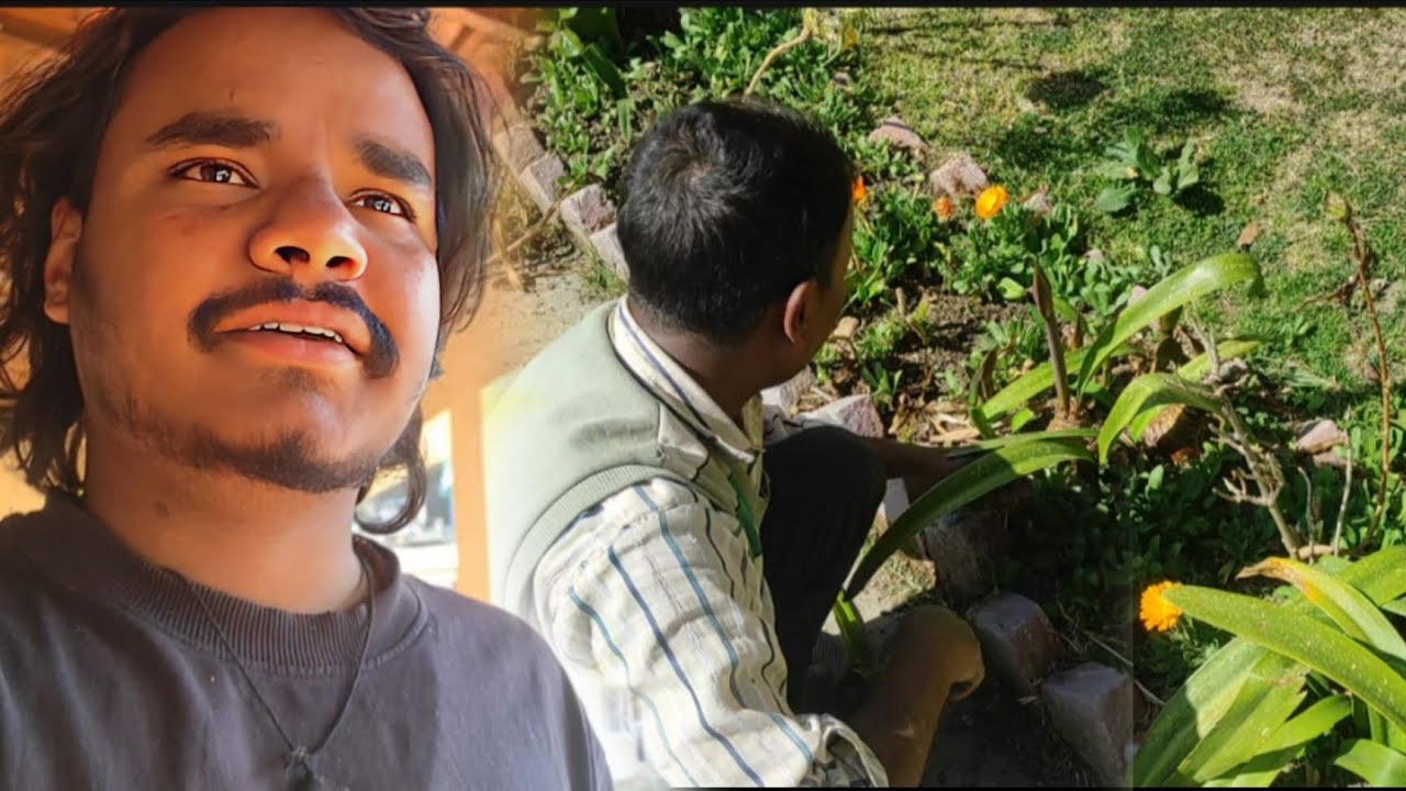 Papa kyaa Kar Rahein hai 🤔