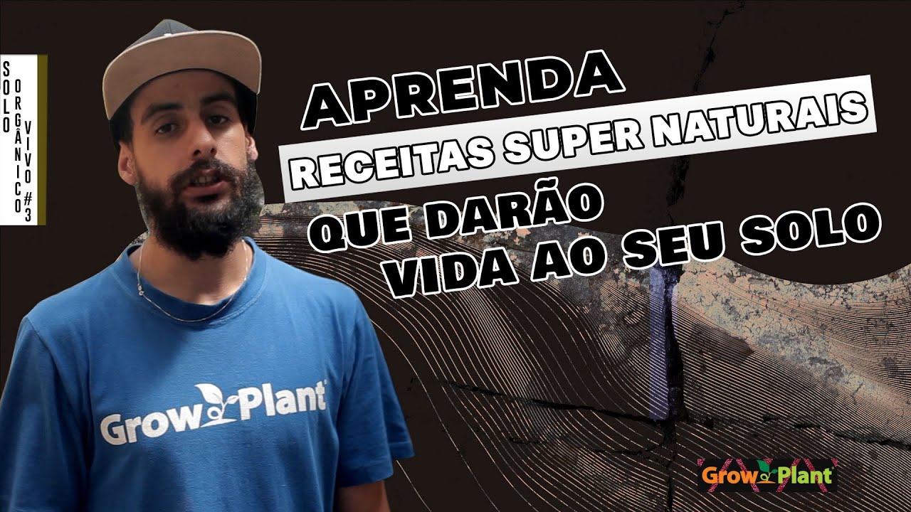 SOLO ORG&Acirc;NICO VIVO #3 | Receita de Solo Mix Super Natural
