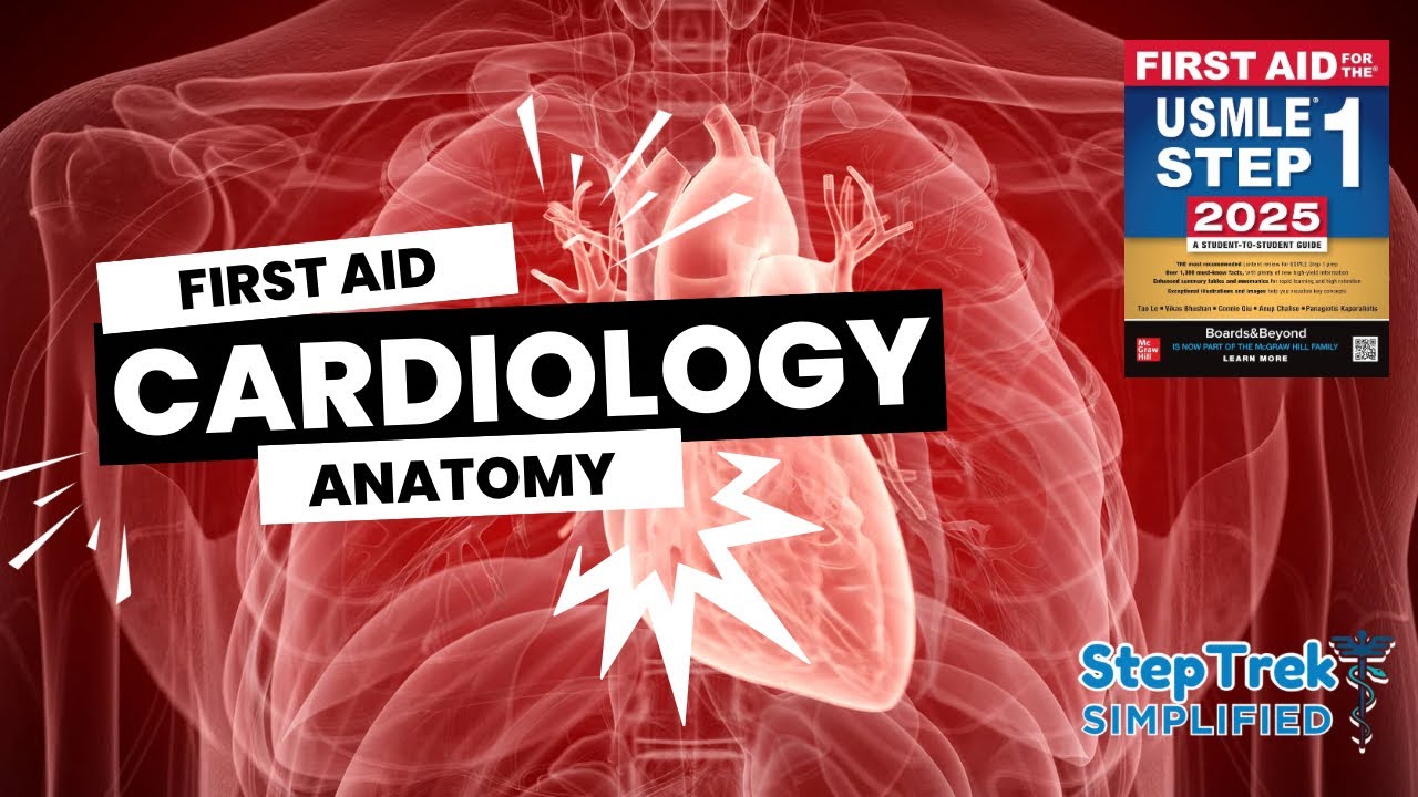 Cardiovascular System Anatomy | High-Yield Concepts of First Aid for Step 1 