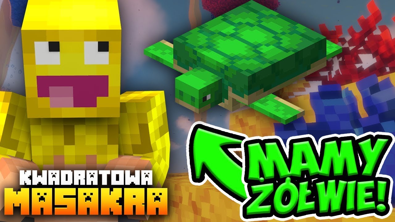 KWADRATOWA MASAKRA: Dekorujemy  moje gigantyczne akwarium! *MAMY ŻÓŁWIE!*