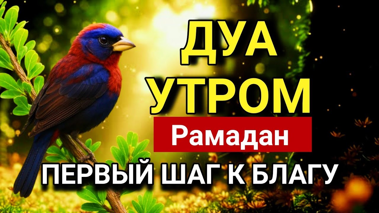  ДУА УТРОМ Рамадан САМЫЙ МОЩНЫЙ СТАРТ ДНЯ! 🤲🌟💯