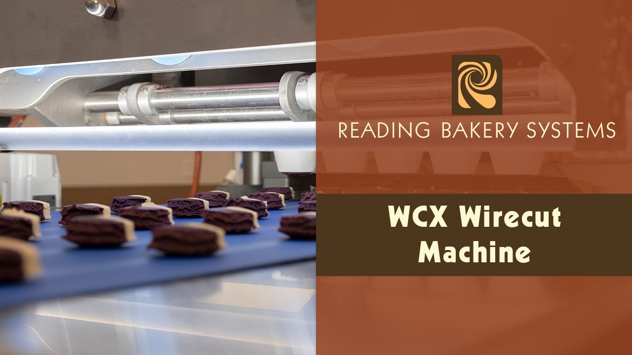 RBS WCX Wirecut Machine