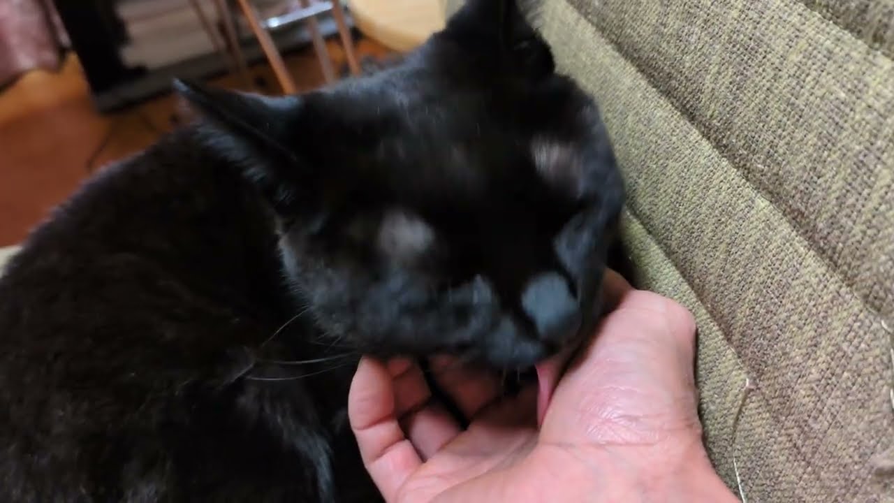 なめすぎ