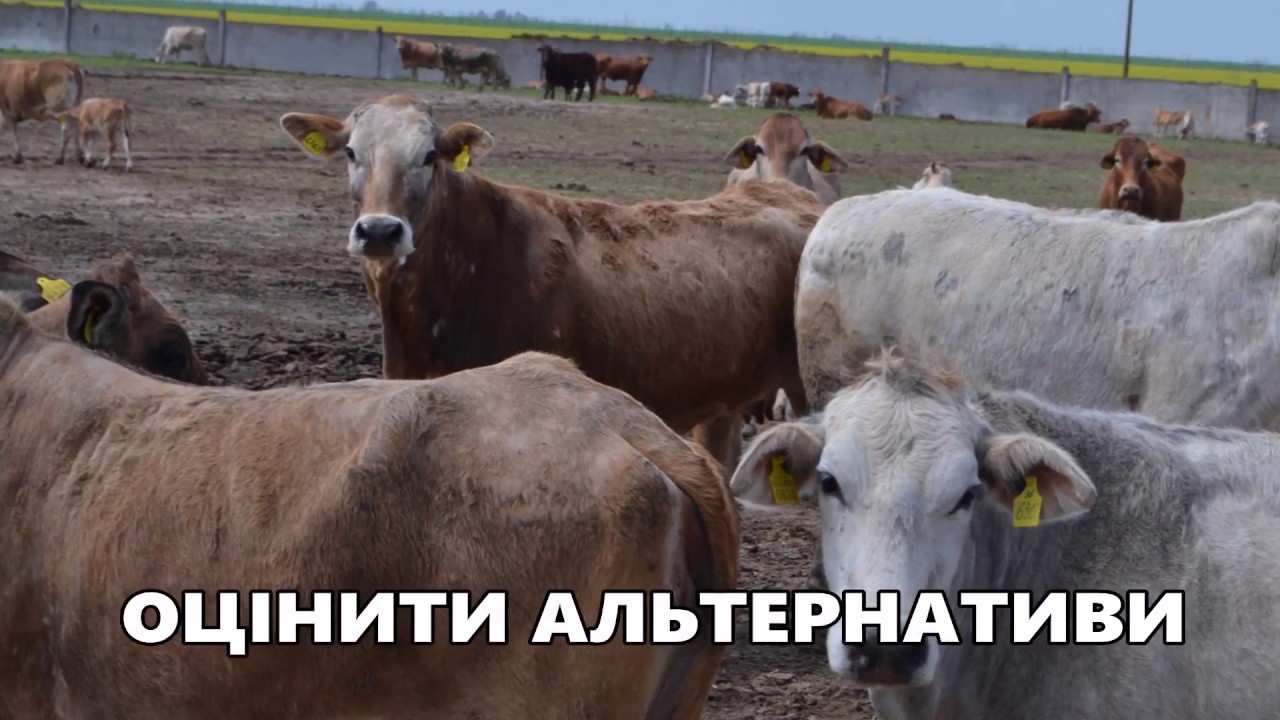 БІЗНЕС-ПЛАН ПІДПРИЄМЦЯ