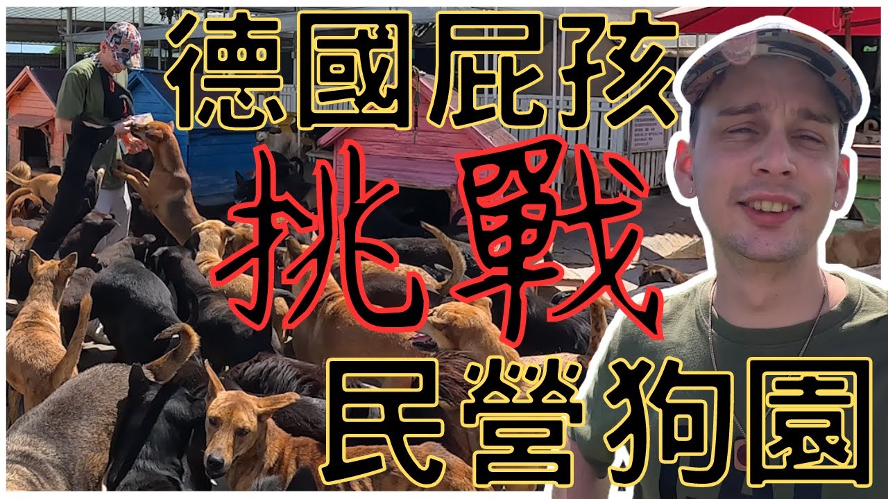【心滿意足】德國人逛民營狗園，覺得幸福但呼籲領養代替購買!!!💕🐶🥰