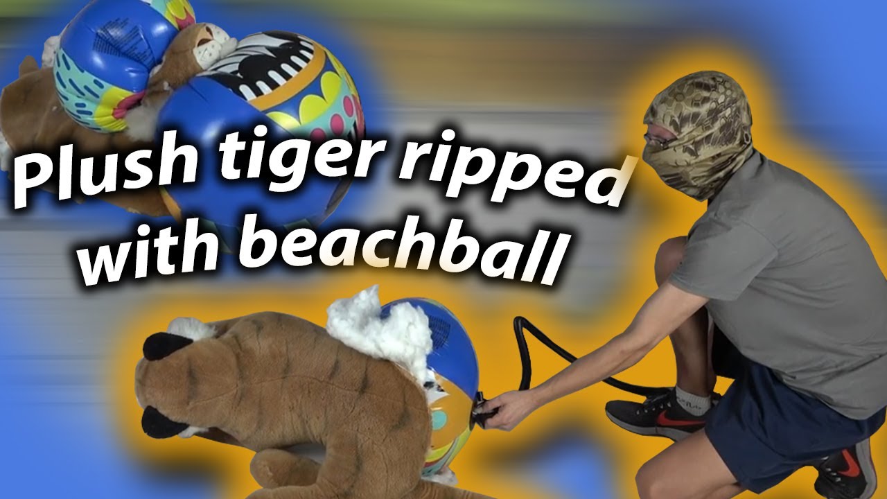 Inflating a Beach Ball Inside a Plush Tiger 🐯🎈 Fun Experiment!