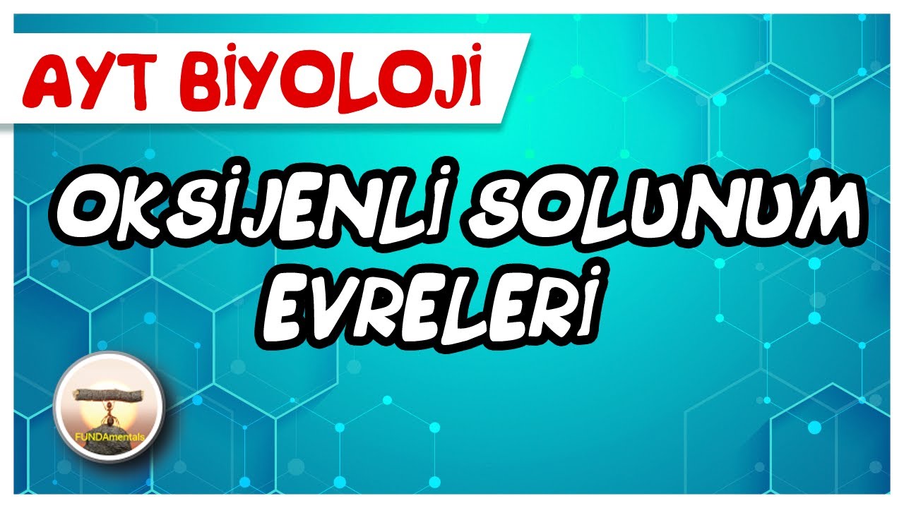AYT Biyoloji | Oksijenli Solunum Evreleri #sayfa176