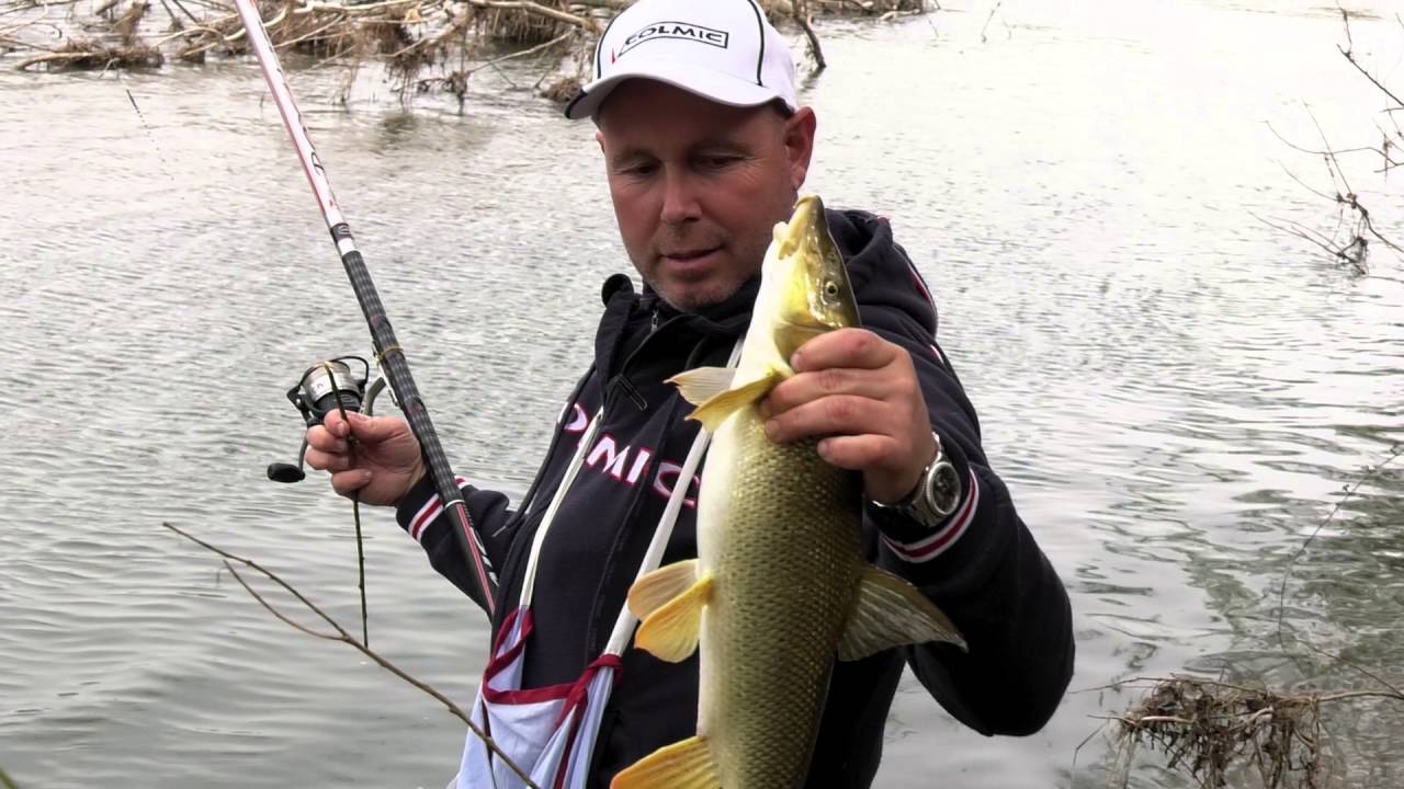 Italian Fishing TV - Colmic - Barbi con la Bolognese nel Taro
