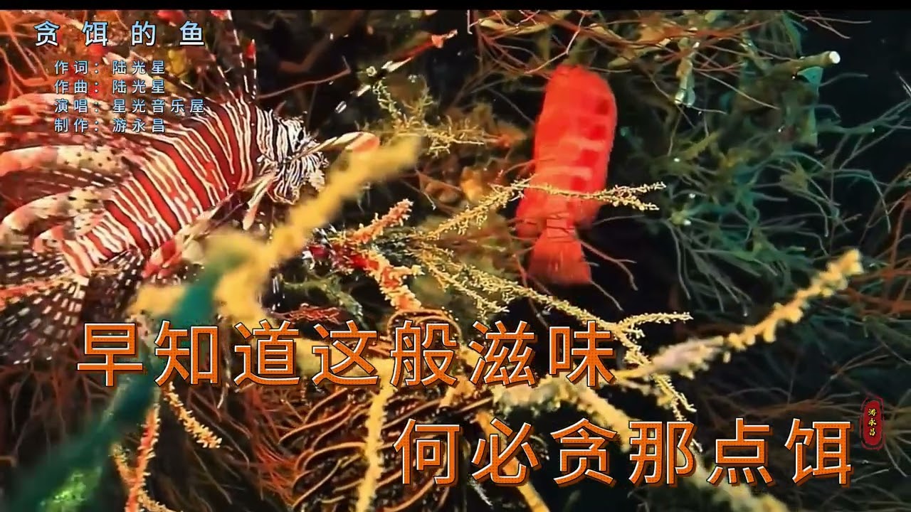 星 光 音 乐 屋  演 唱  一 首 《 贪 饵 的 鱼 》 旋 律 优 美，歌 词 富 有 哲 理 令 人 深 思！