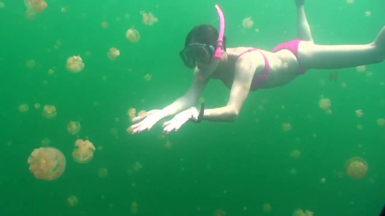 Laurie freedive at Palau Jellyfish Lake
