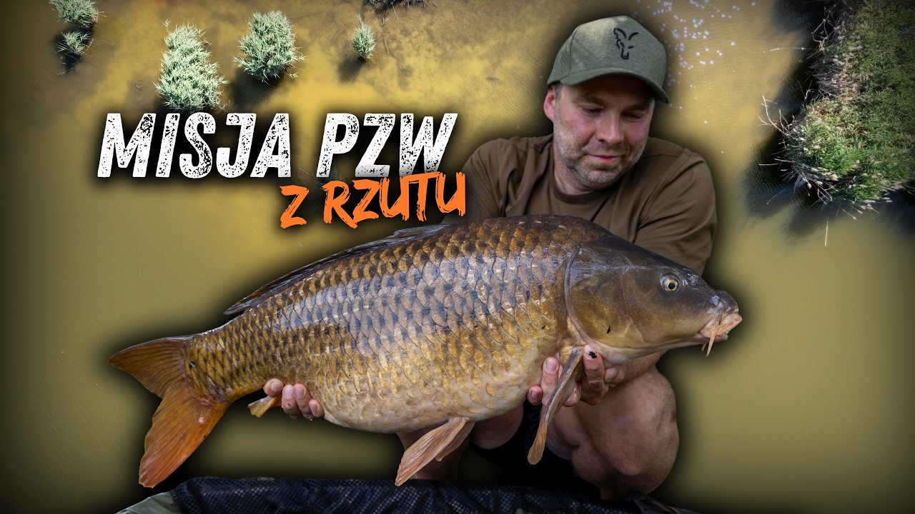 Najlepsza letnia taktyka z rzutu? Wyniki m&oacute;wią same za siebie🦊 Fox Carp fishing
