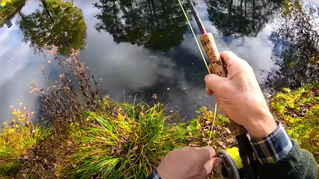 Clear Water Lake throws up a Monster Fish | Can’t Believe It!