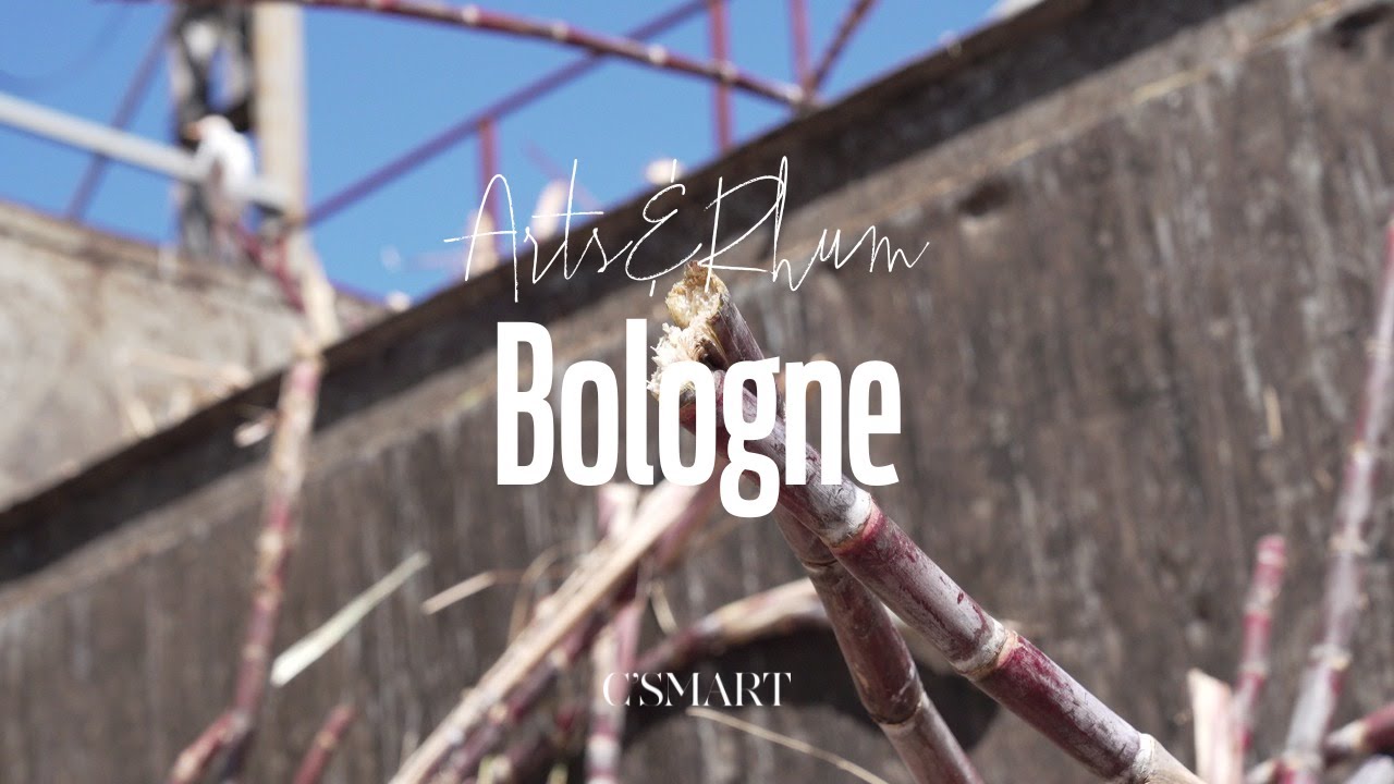BOLOGNE - RENCONTRE Arts&Rhum