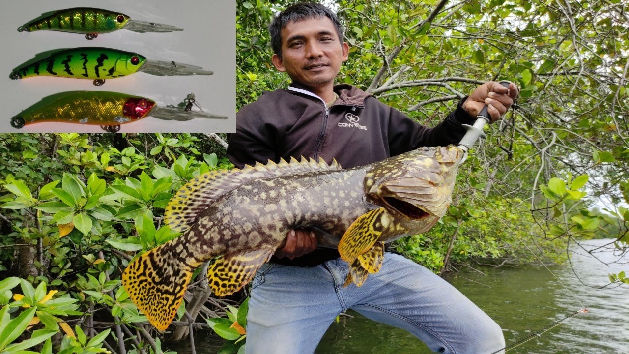 PREDATOR MUARA KERAPU BUMBLEBEE DENGAN LURE RELIX NUSANTAR PUSPITA 8,8 CM CASTING
